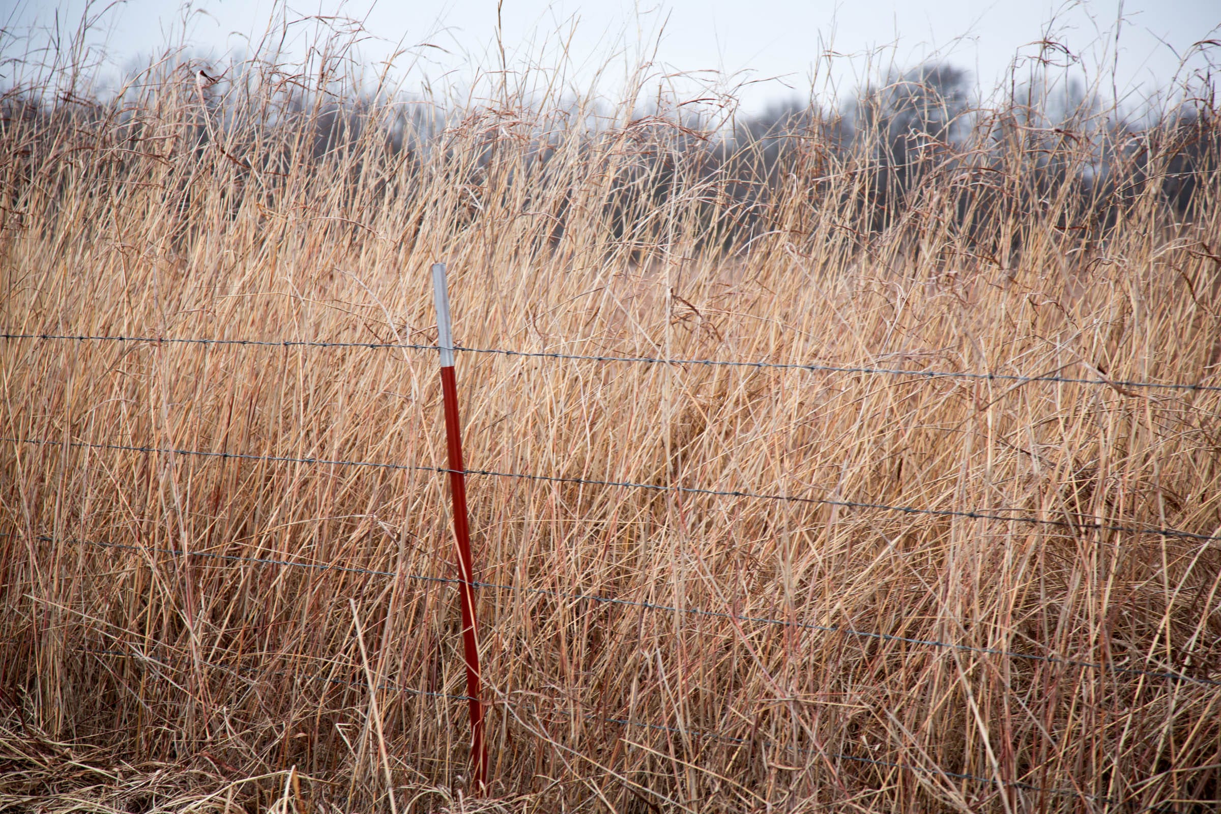 Canadian Plains Tract 15 photo 10