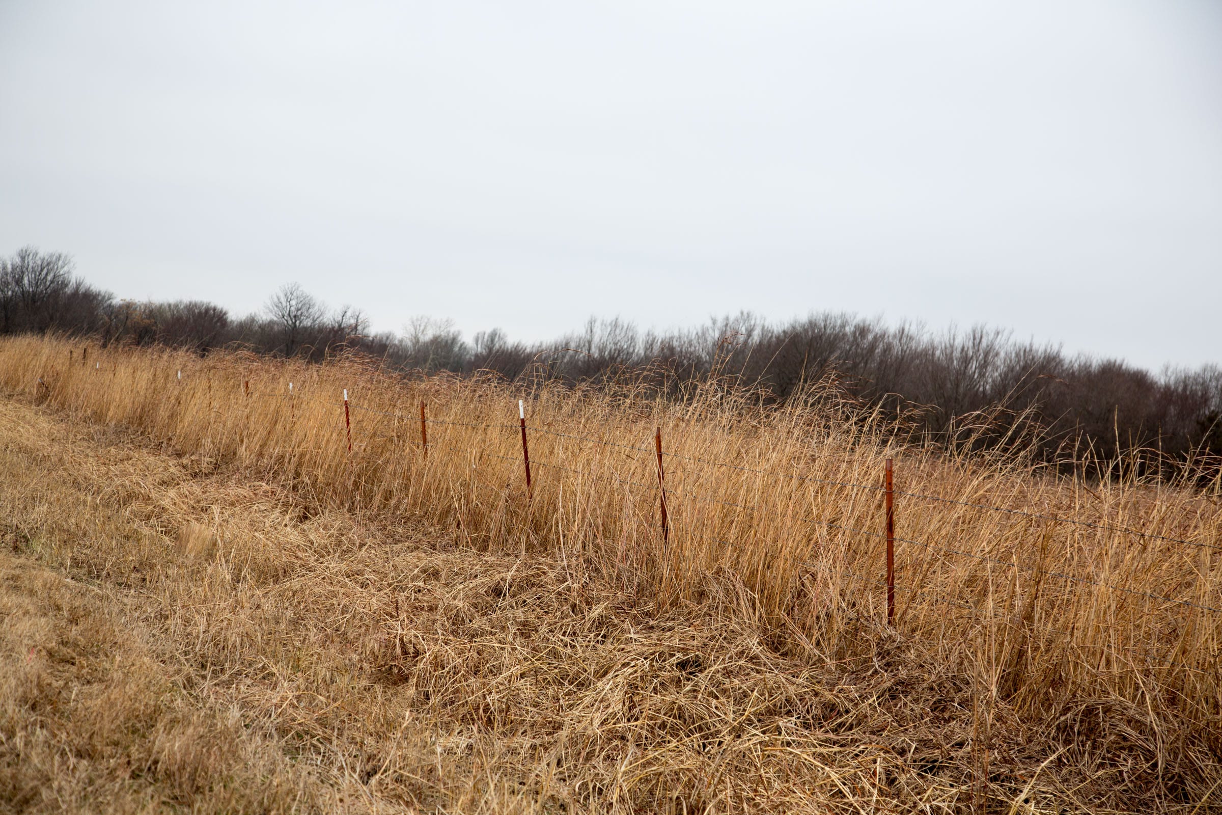Canadian Plains Tract 15 photo 11
