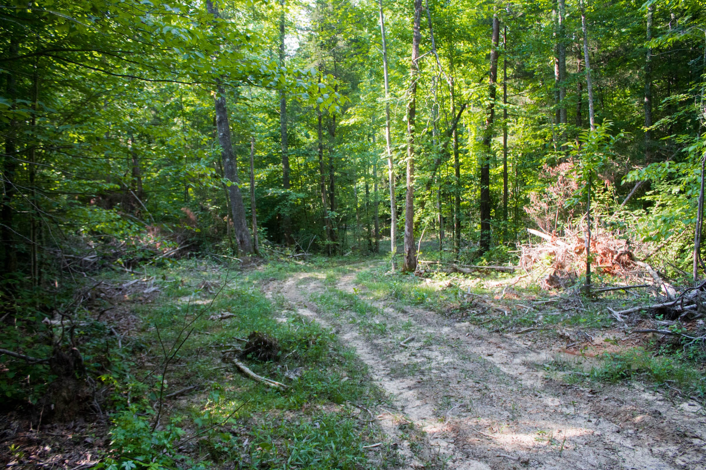 Bluewater Ridge Tract 27 photo 3