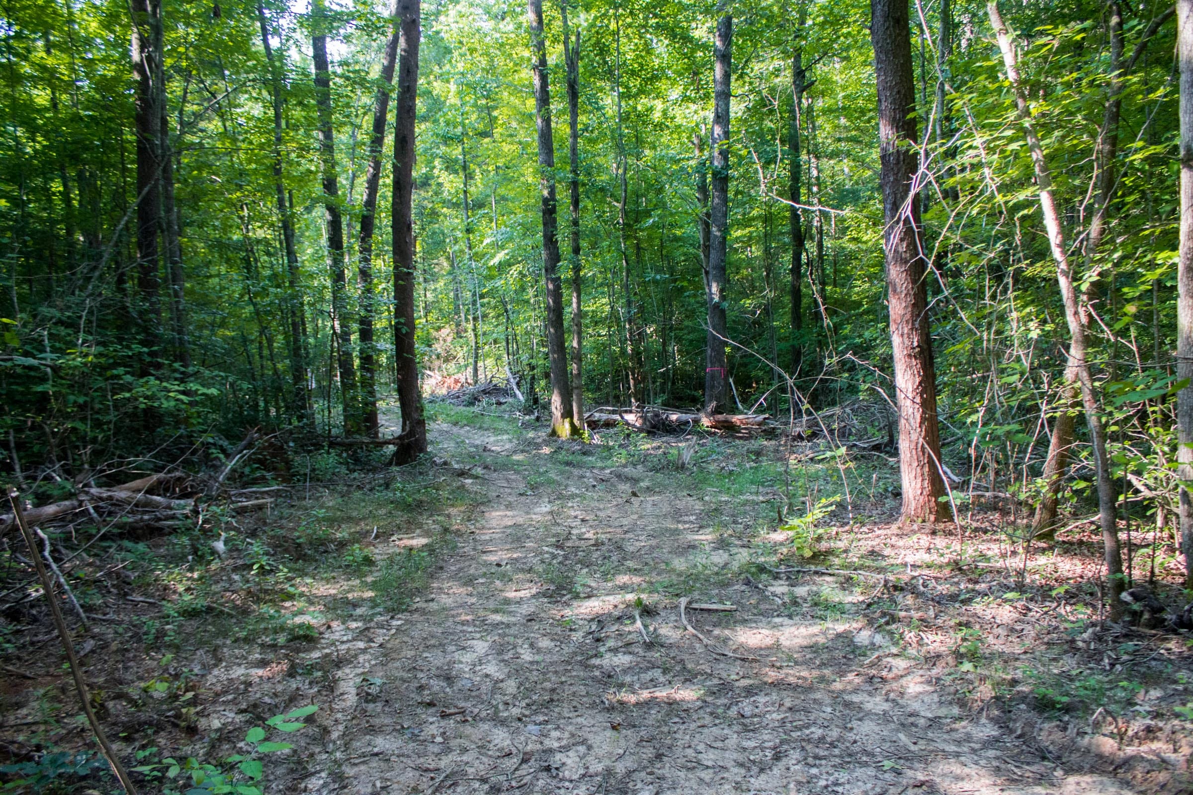 Bluewater Ridge Tract 27 photo 6