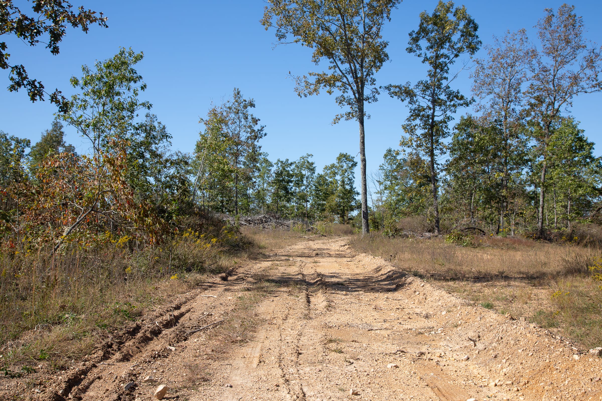 Borgmann’s Hollow Phase IV Tract 107 photo 1
