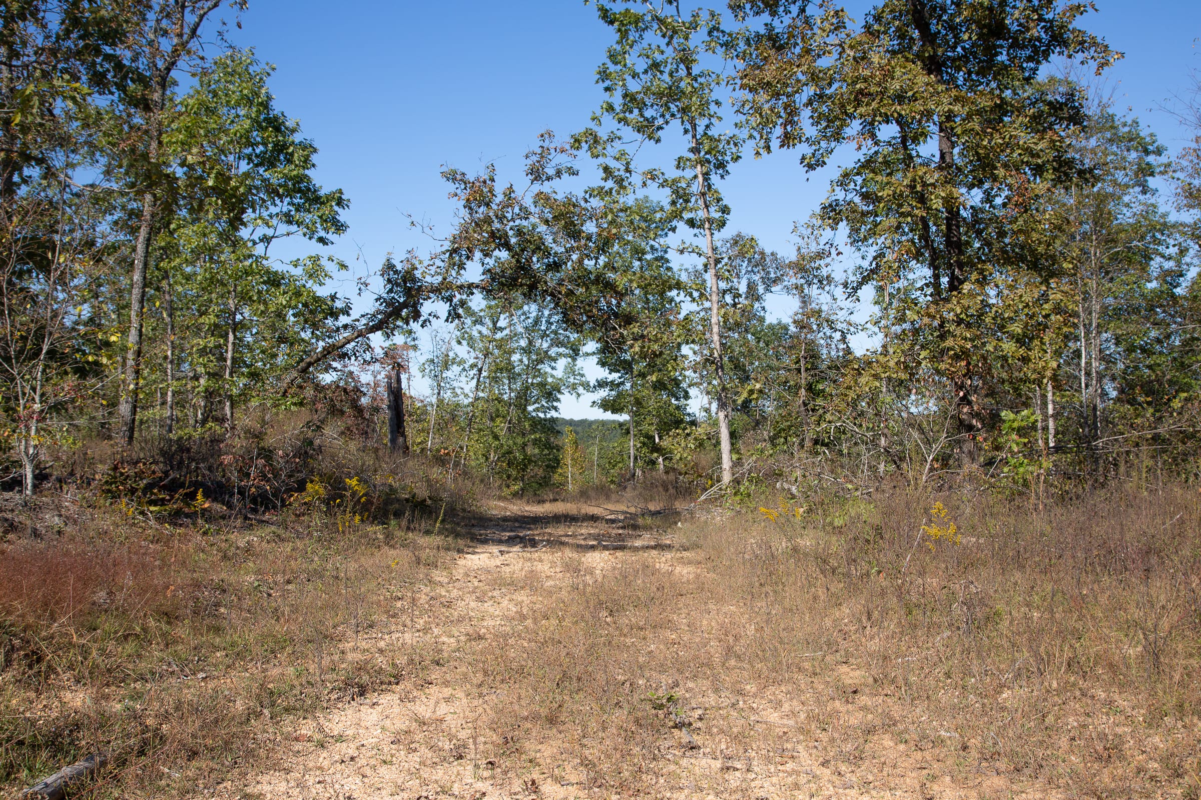 Borgmann’s Hollow Phase IV Tract 107 photo 4