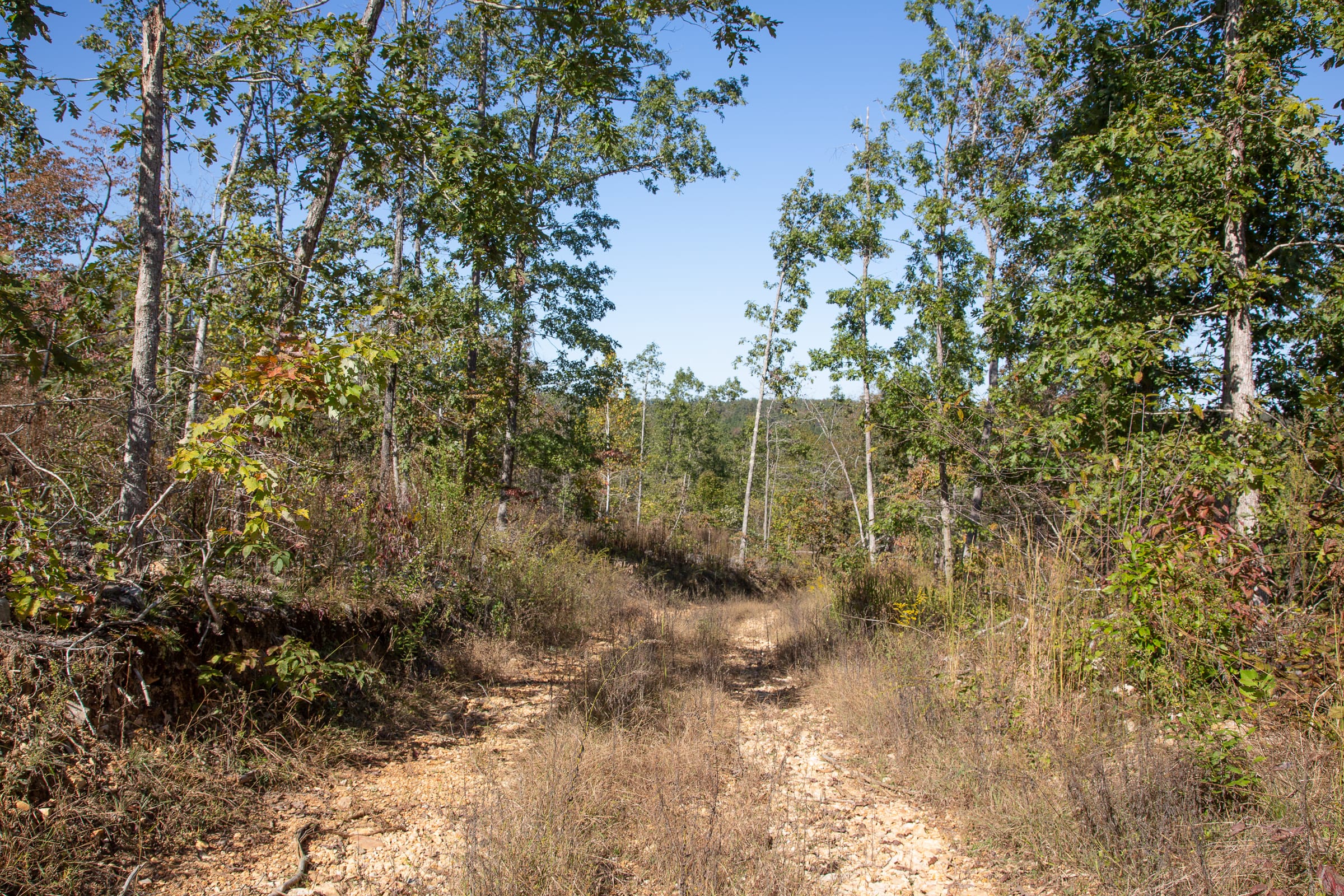 Borgmann’s Hollow Phase IV Tract 107 photo 8