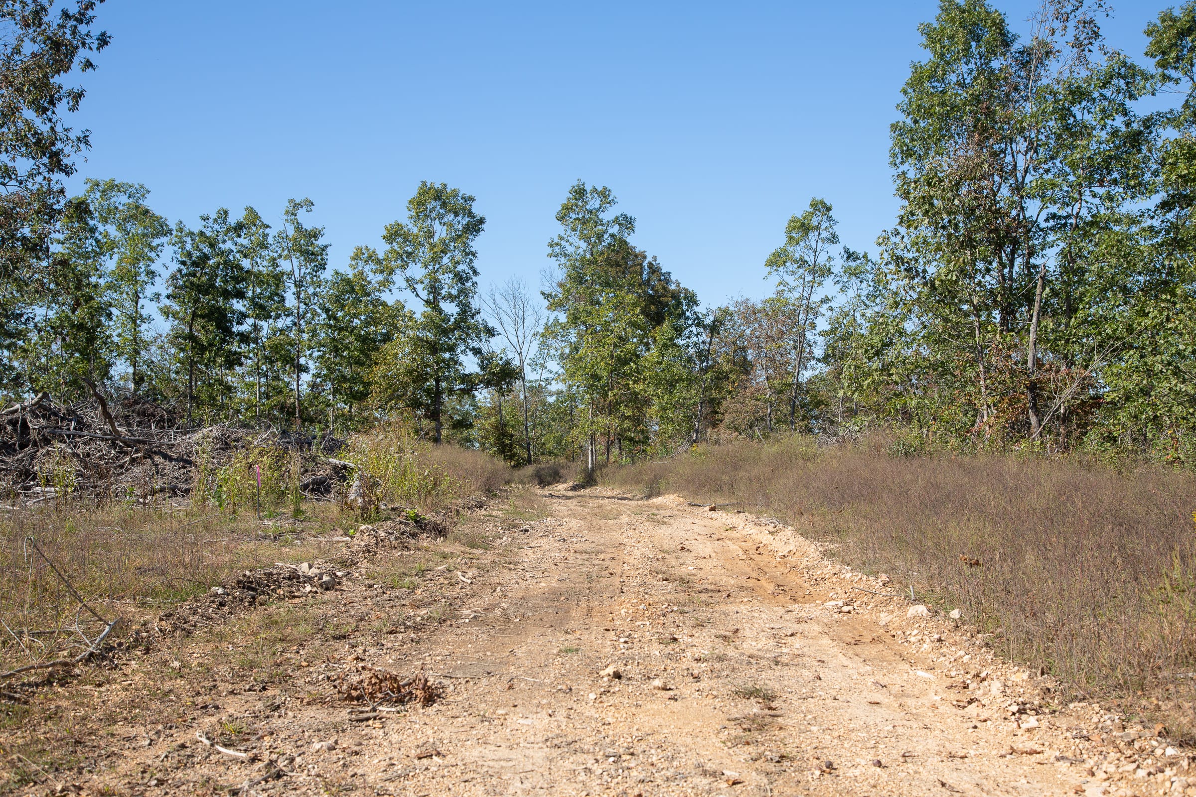 Borgmann’s Hollow Phase IV Tract 107 photo 10