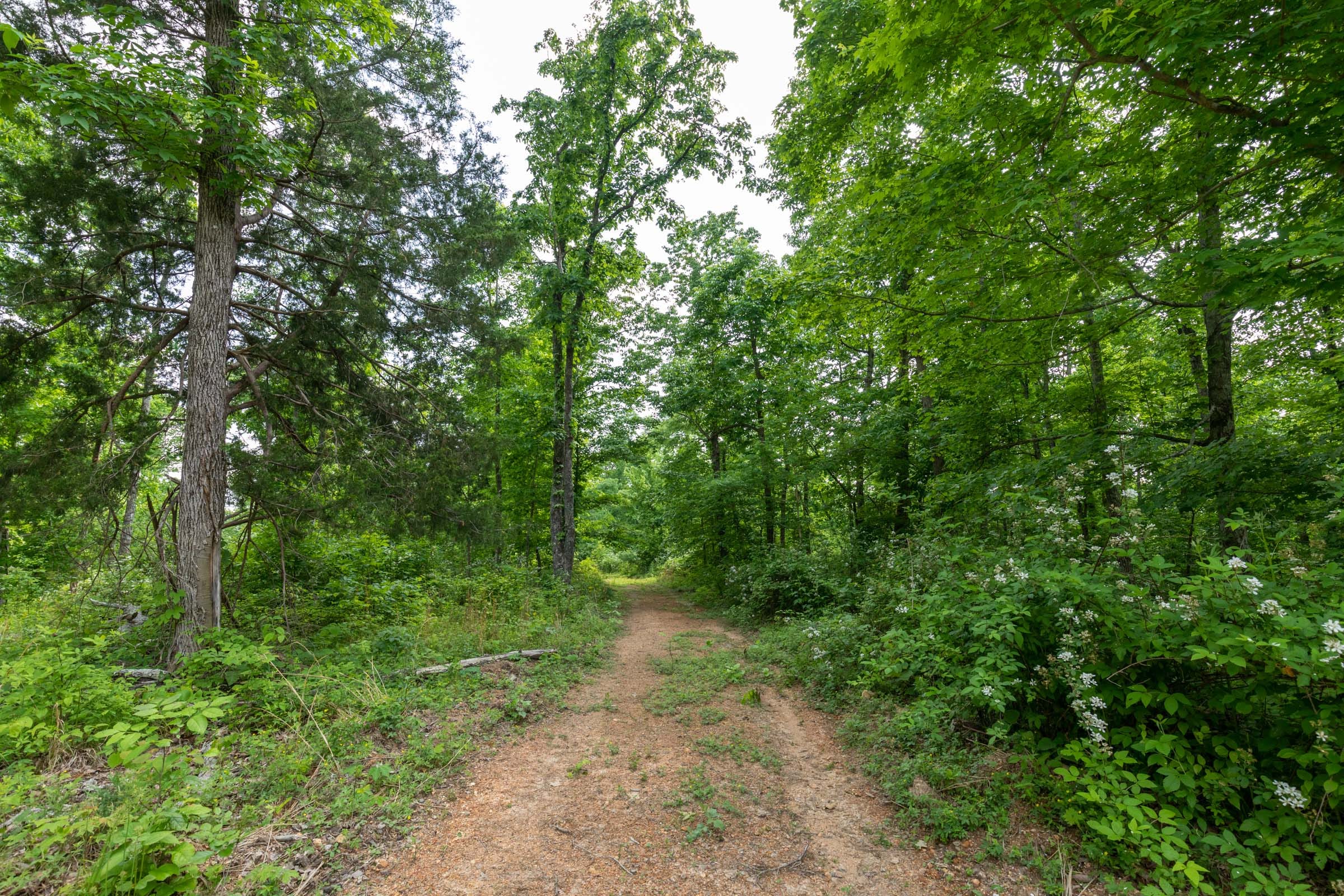 Cedar Creek Tract 24 photo 4