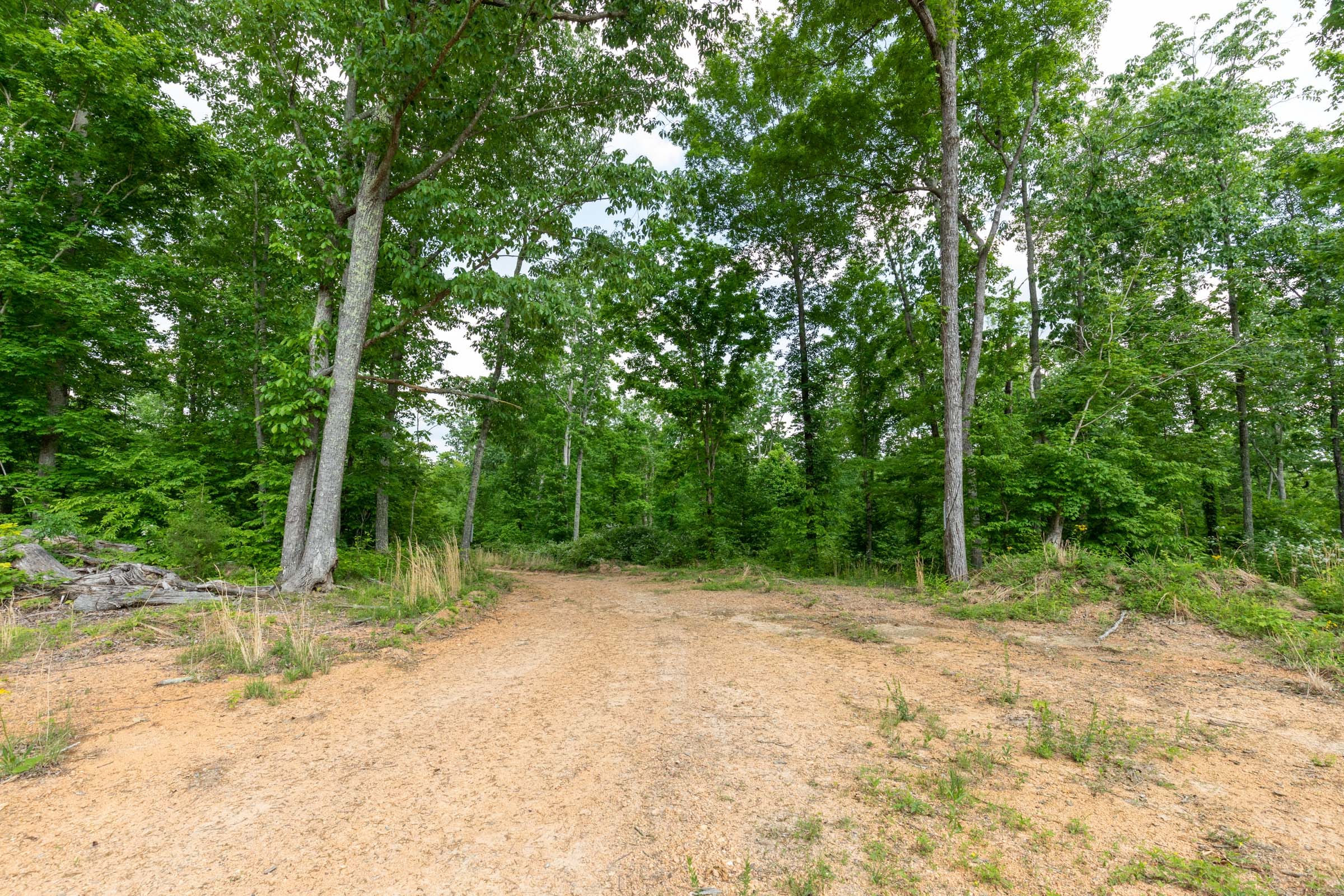 Cedar Creek Tract 24 photo 7
