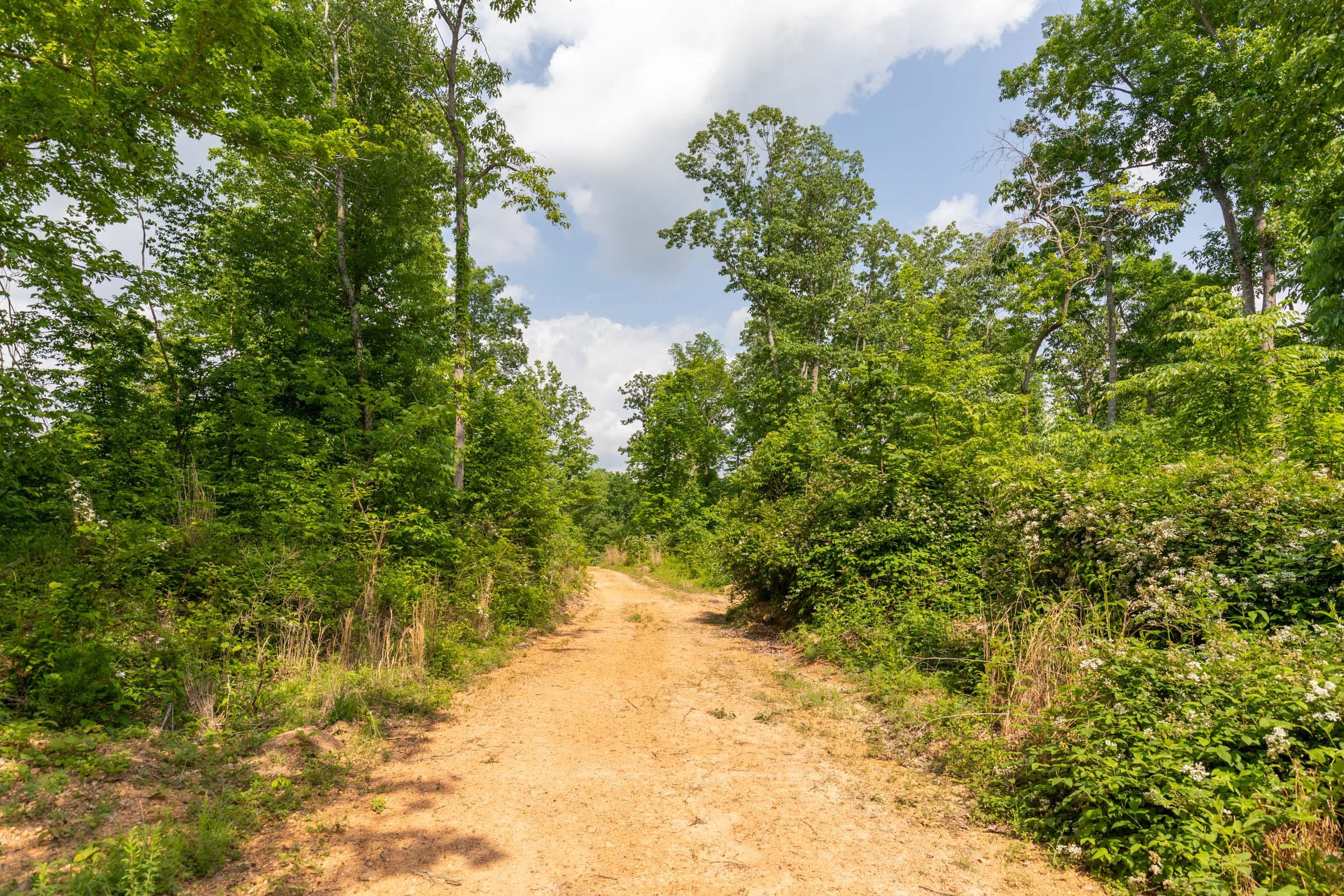 Cedar Creek Tract 24 photo 1