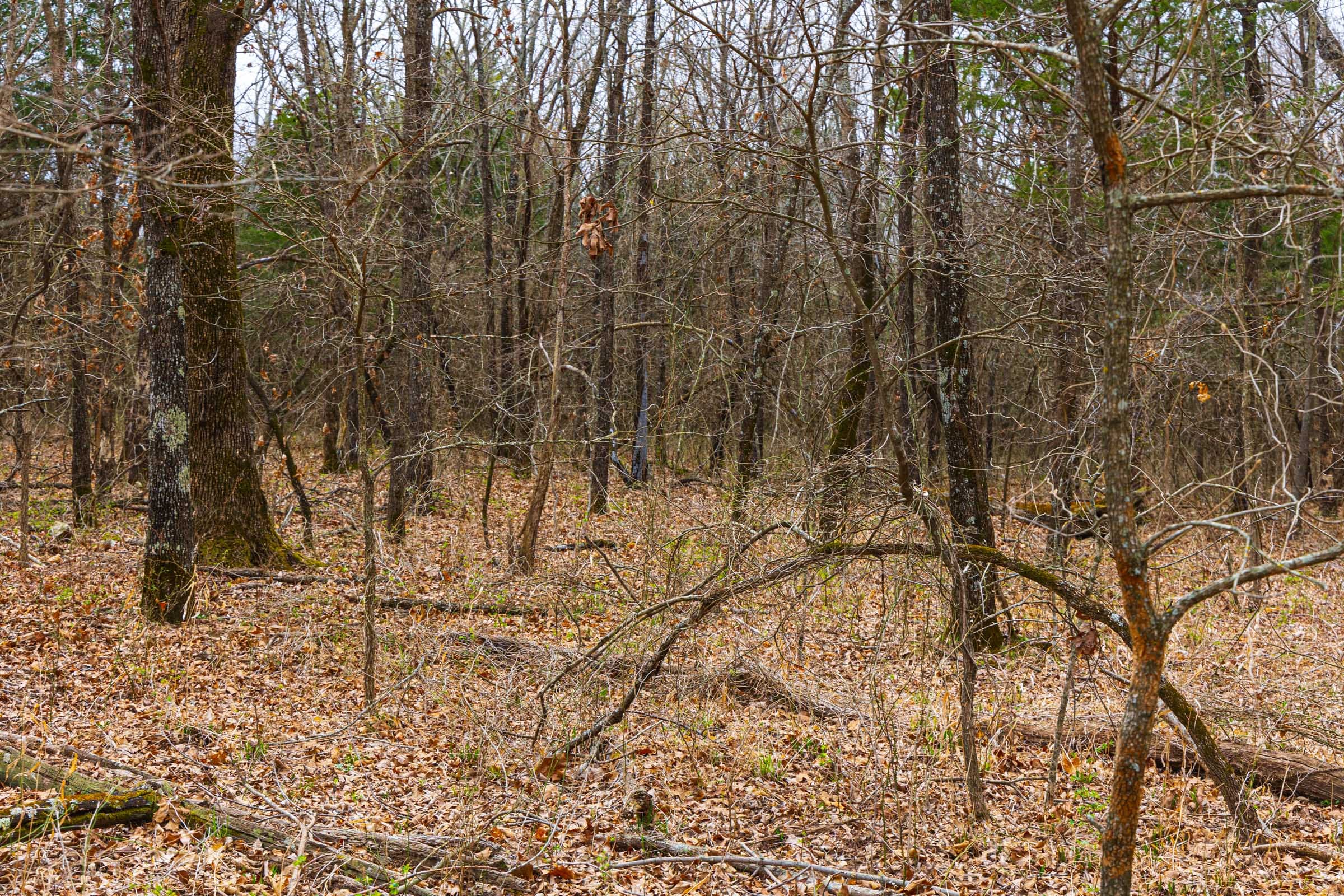 Reserves At Cattail Cove Phase I Tract 9 photo 15