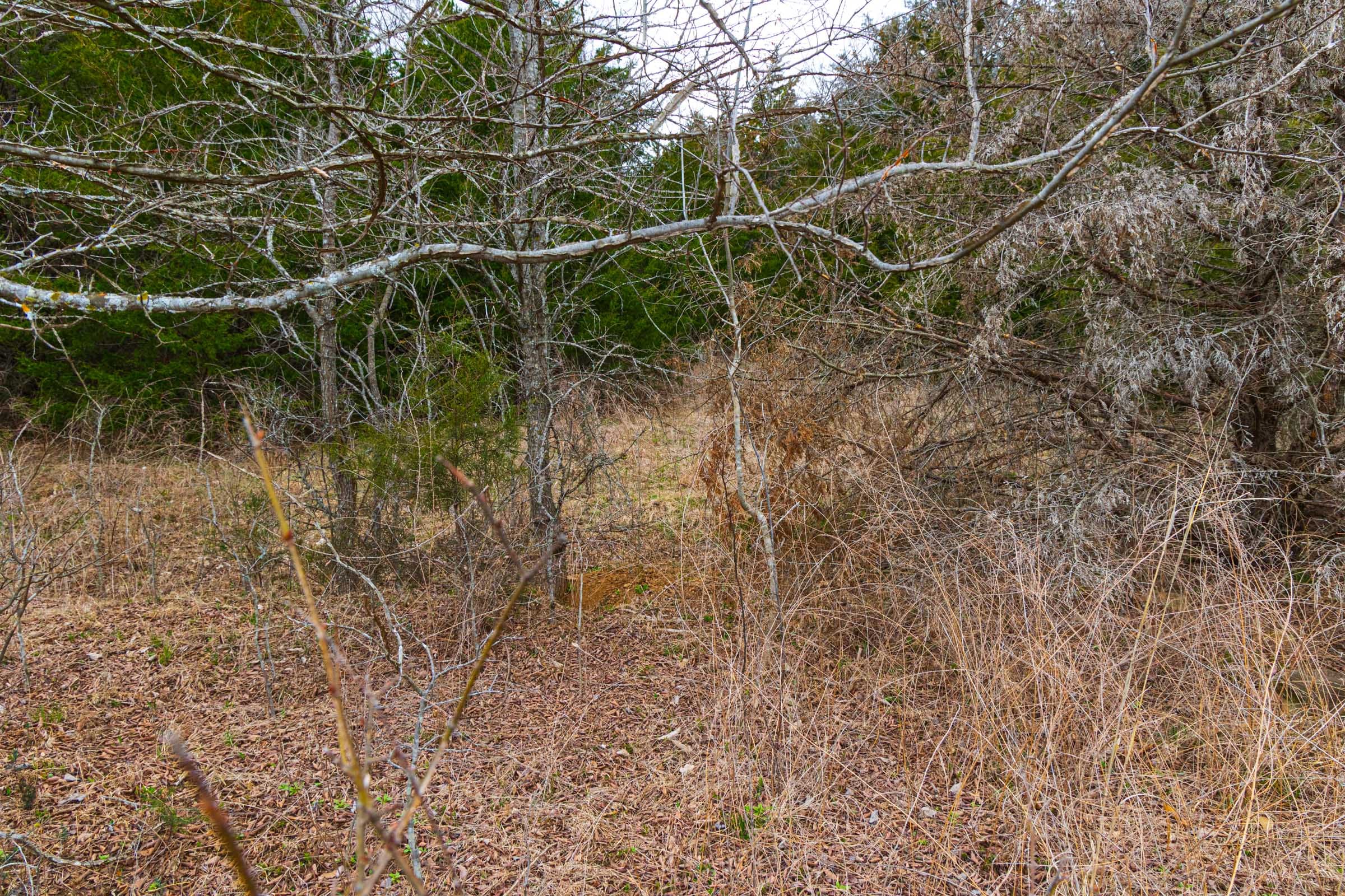 Reserves At Cattail Cove Phase I Tract 9 photo 9