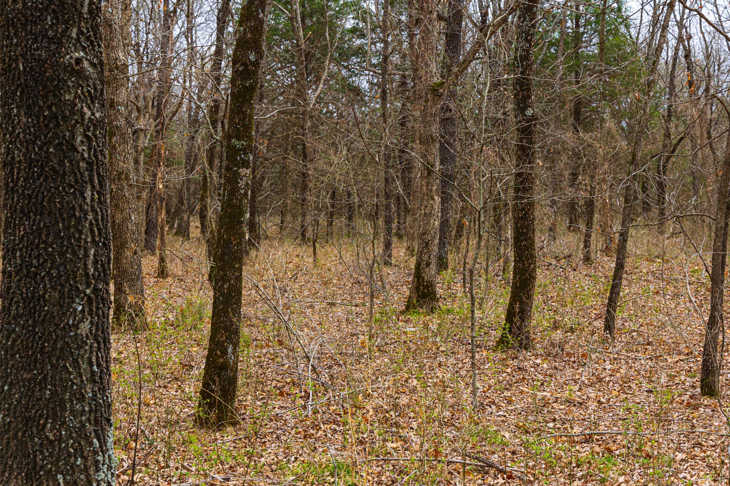 Reserves At Cattail Cove Phase I Tract 9 photo 14