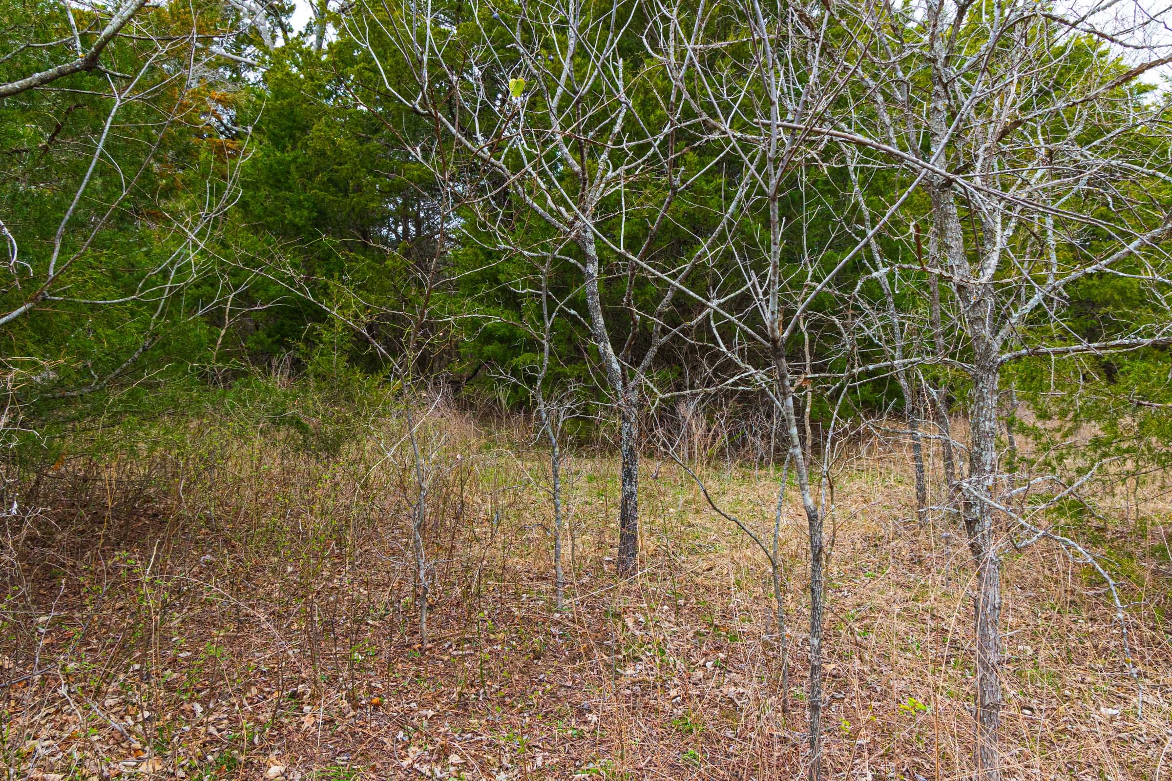 Reserves At Cattail Cove Phase I Tract 9 photo 13
