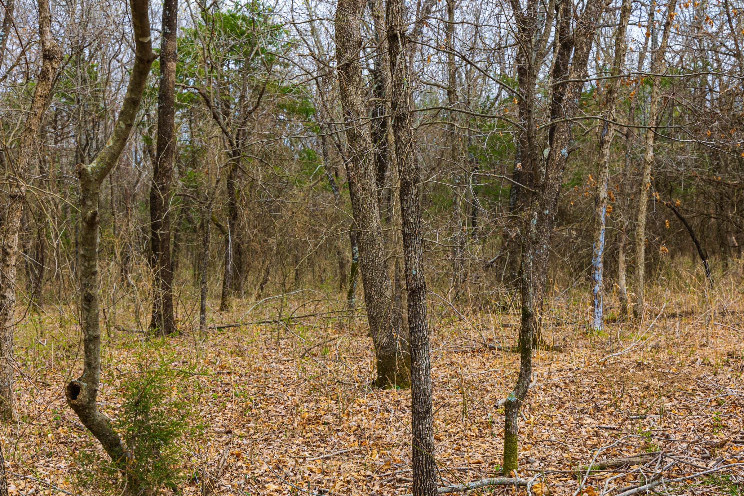 Reserves At Cattail Cove Phase I Tract 9 photo 12