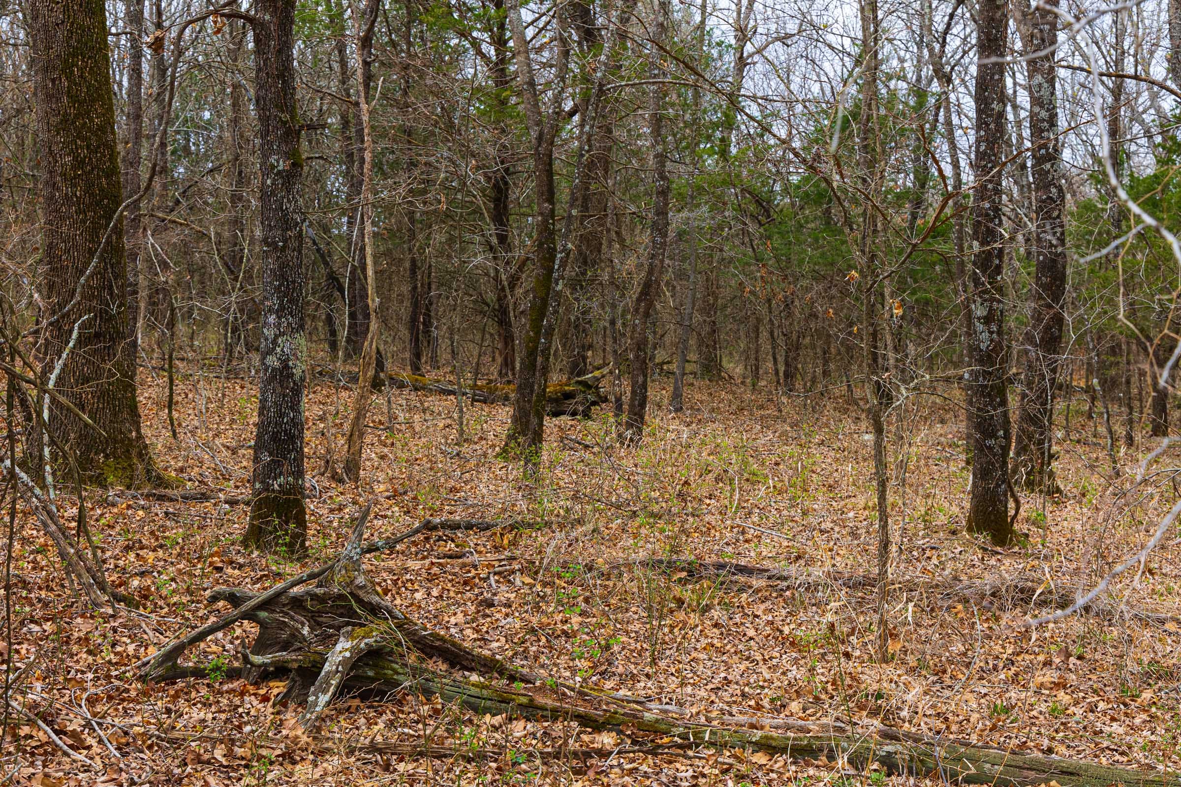 Reserves At Cattail Cove Phase I Tract 9 photo 10