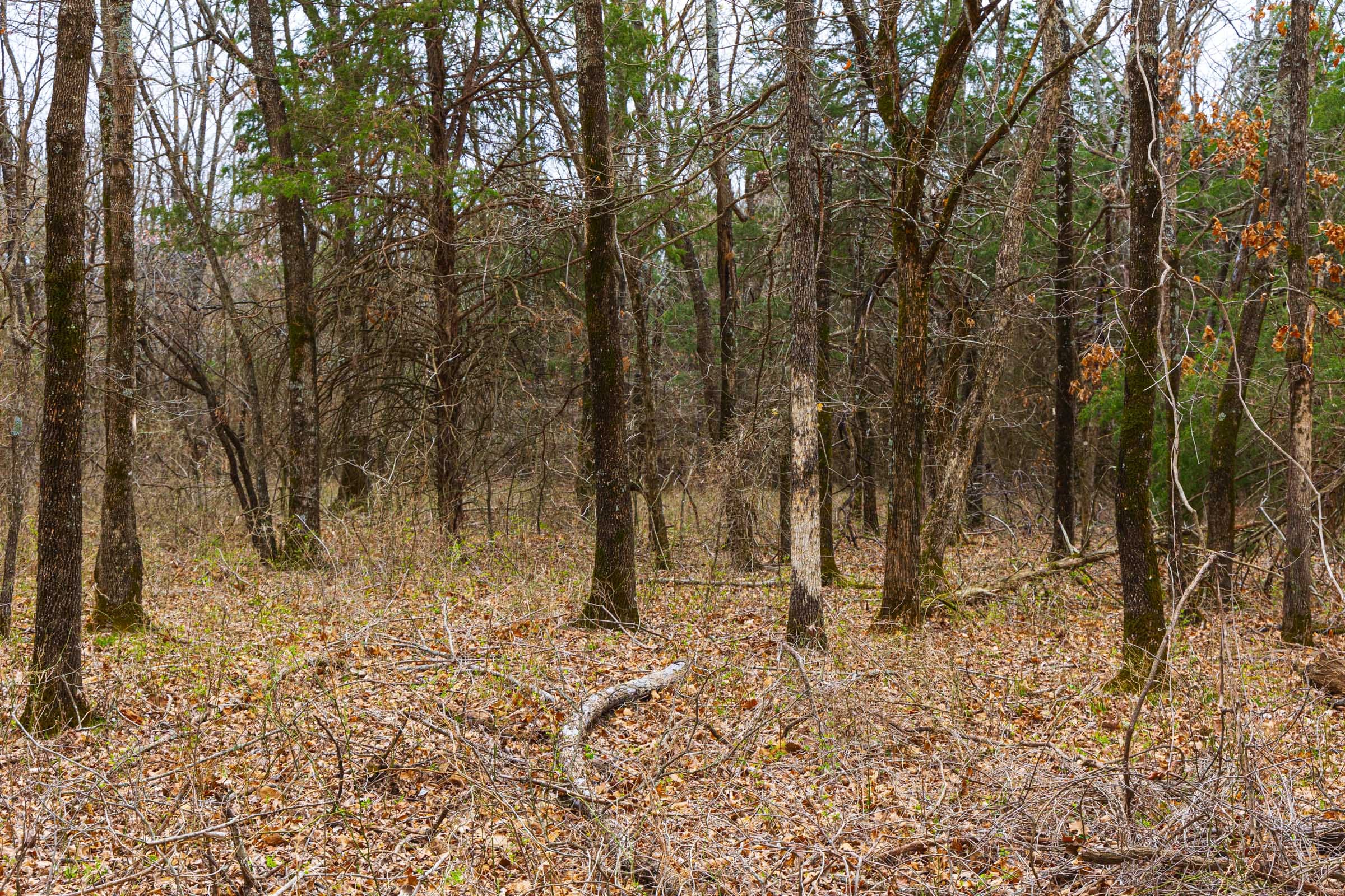 Reserves At Cattail Cove Phase I Tract 9 photo 8