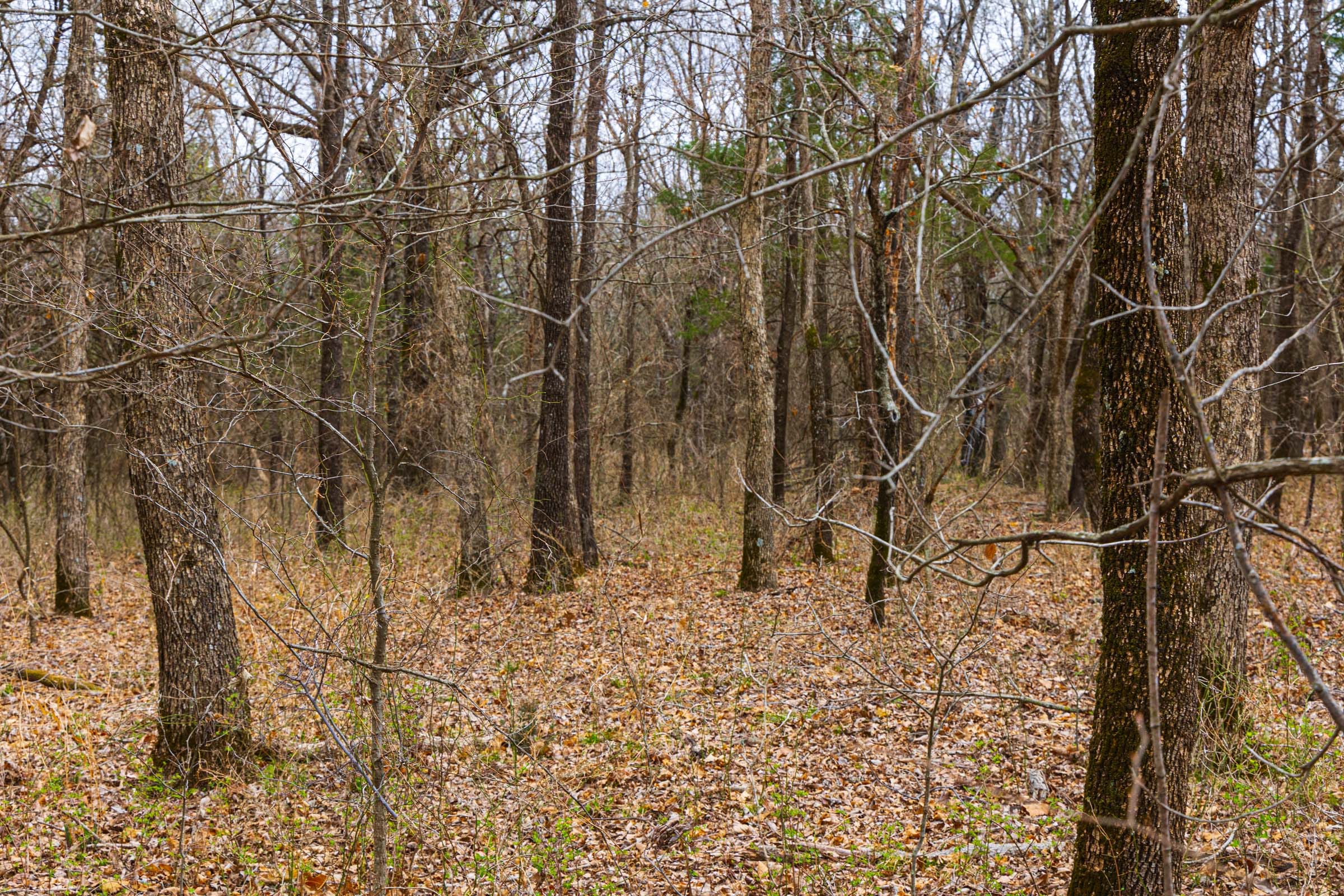 Reserves At Cattail Cove Phase I Tract 9 photo 11