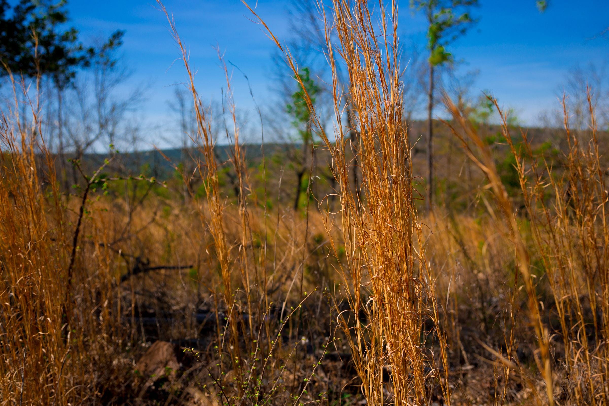 Stone Creek Phase II Tract 213 photo 1