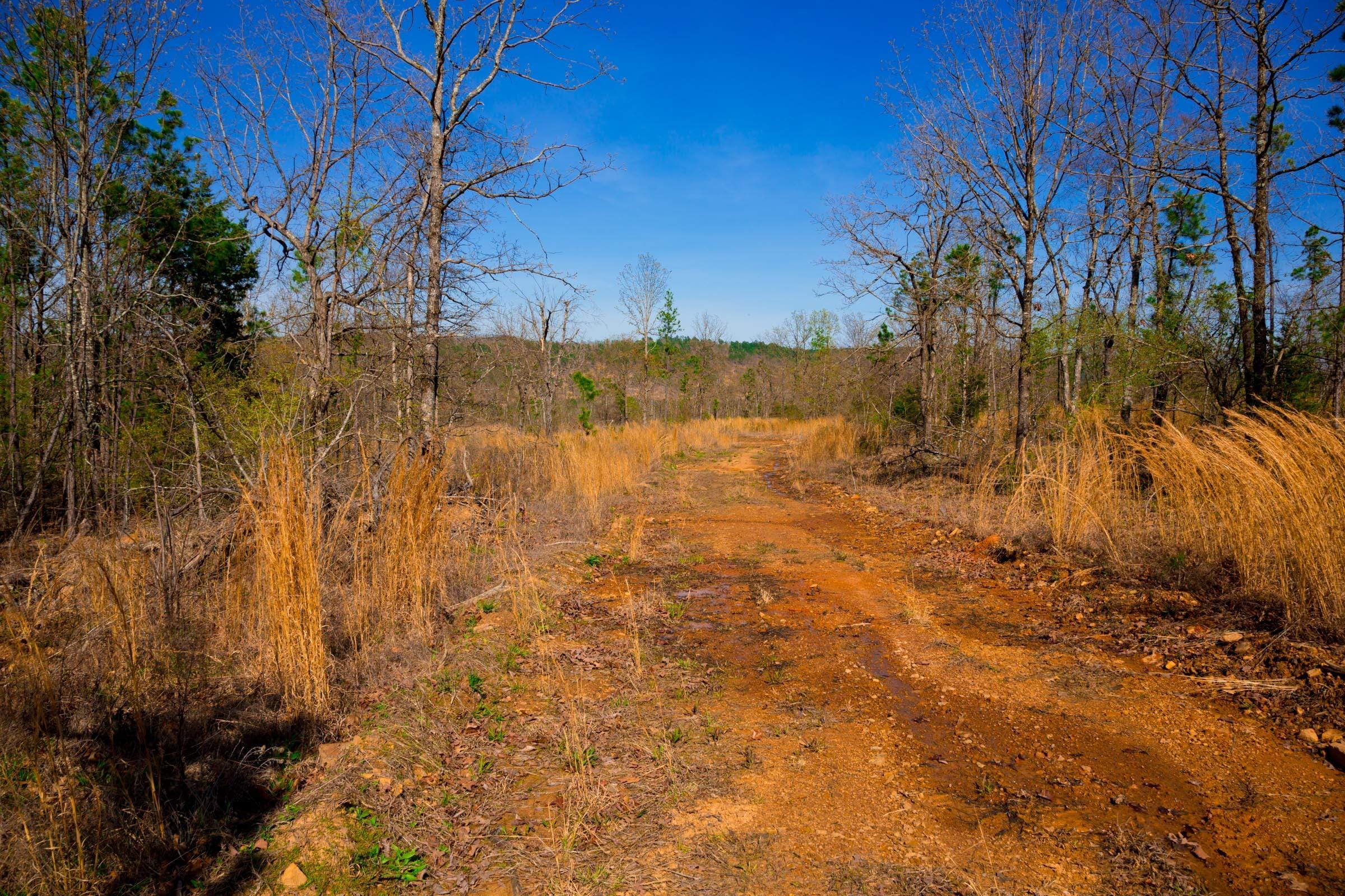 Stone Creek Phase II Tract 213 photo 2