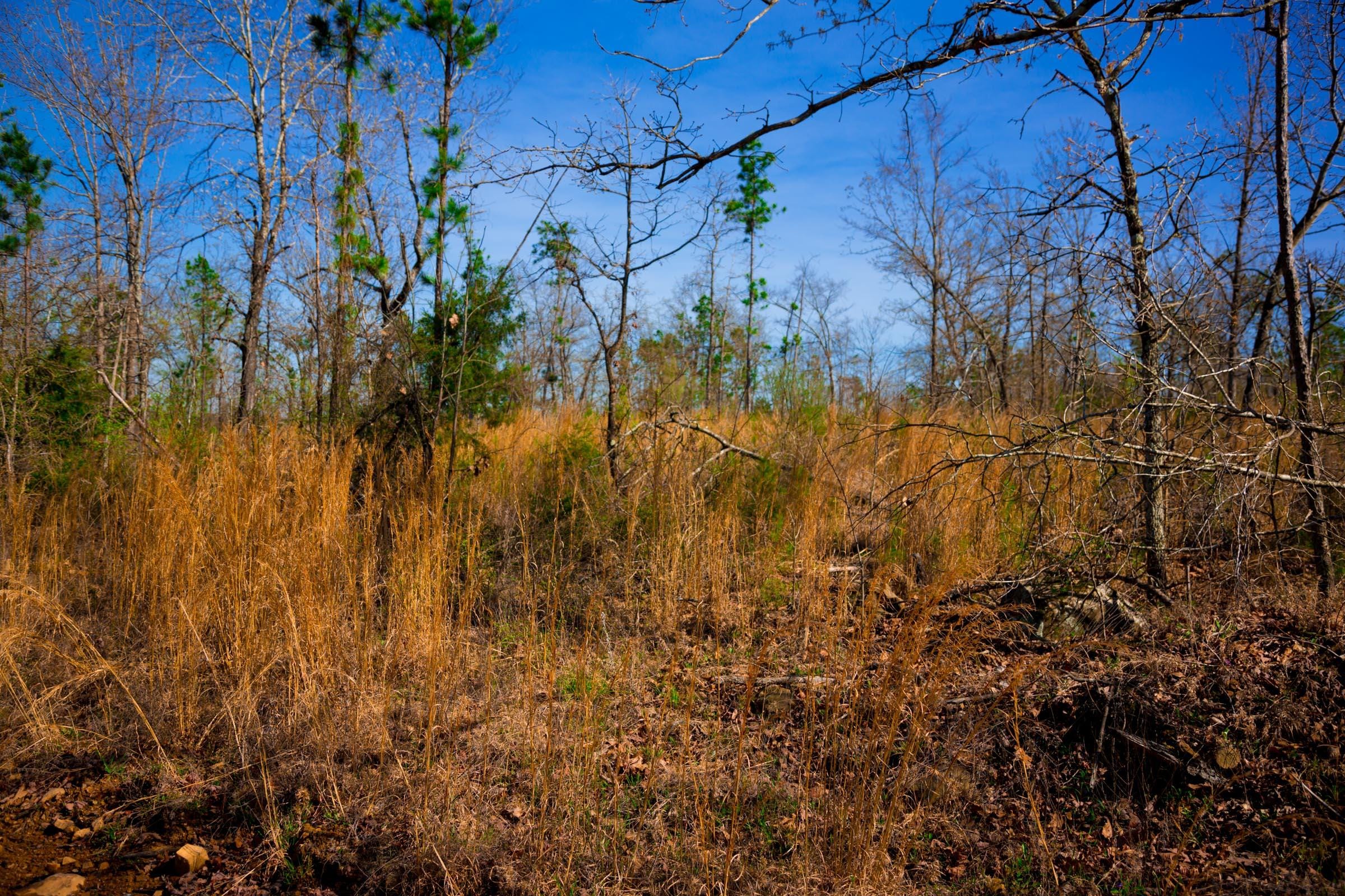 Stone Creek Phase II Tract 213 photo 5