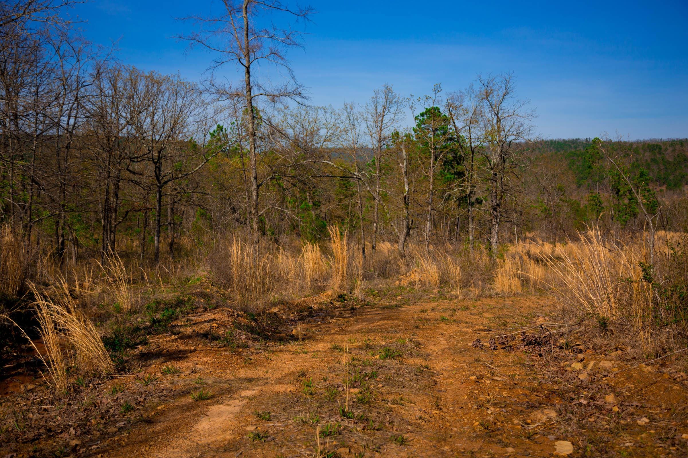 Stone Creek Phase II Tract 213 photo 6