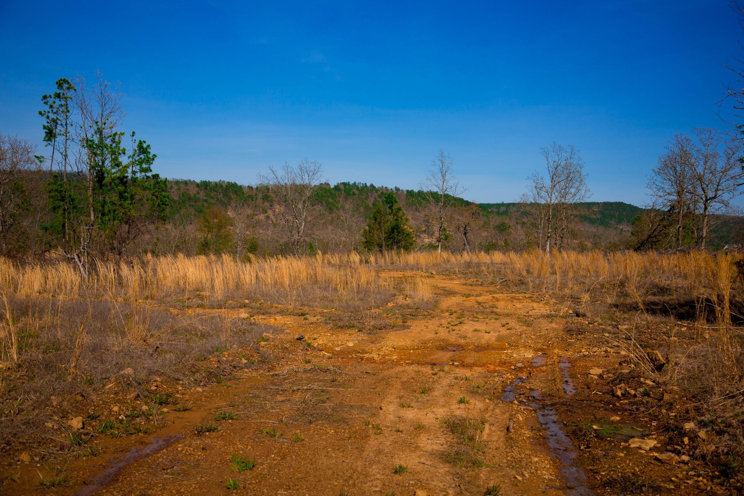 Stone Creek Phase II Tract 213 photo 7