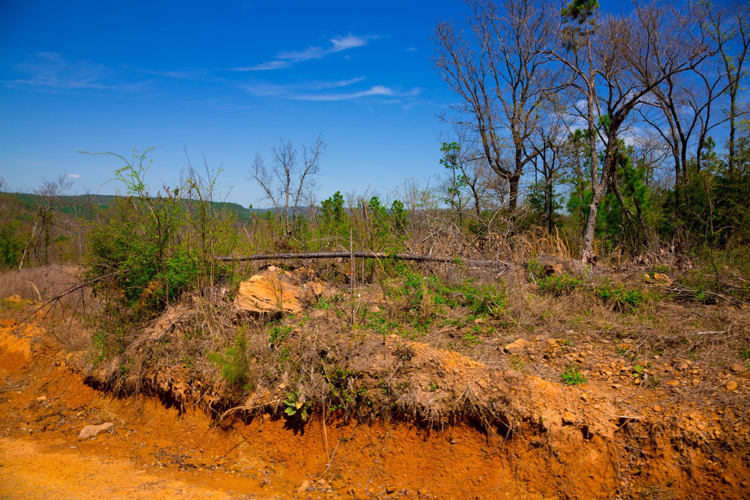 Stone Creek Phase II Tract 213 photo 9