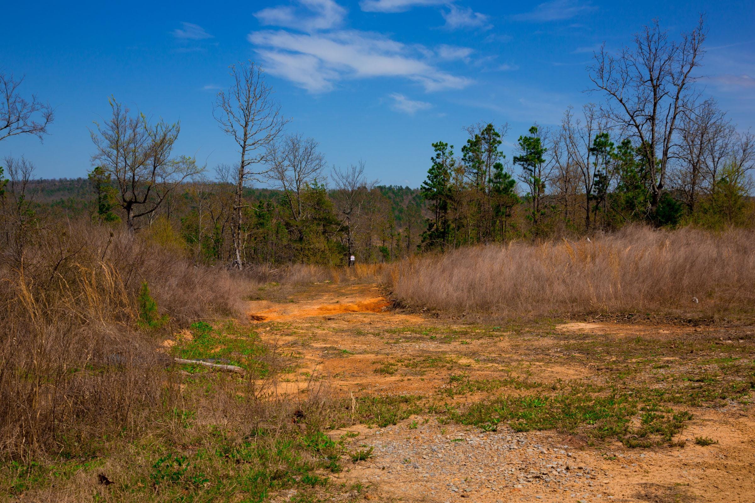 Stone Creek Phase II Tract 213 photo 10