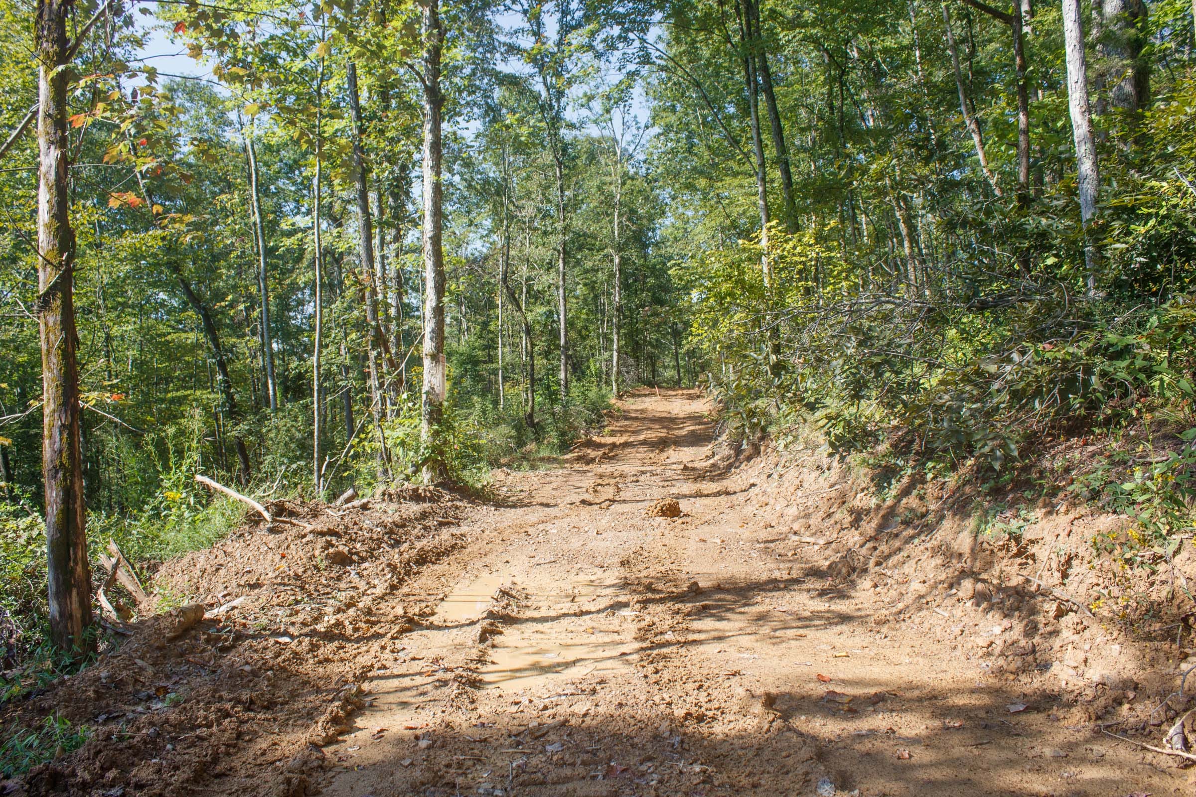Wounded Oak Tract 23 photo 1