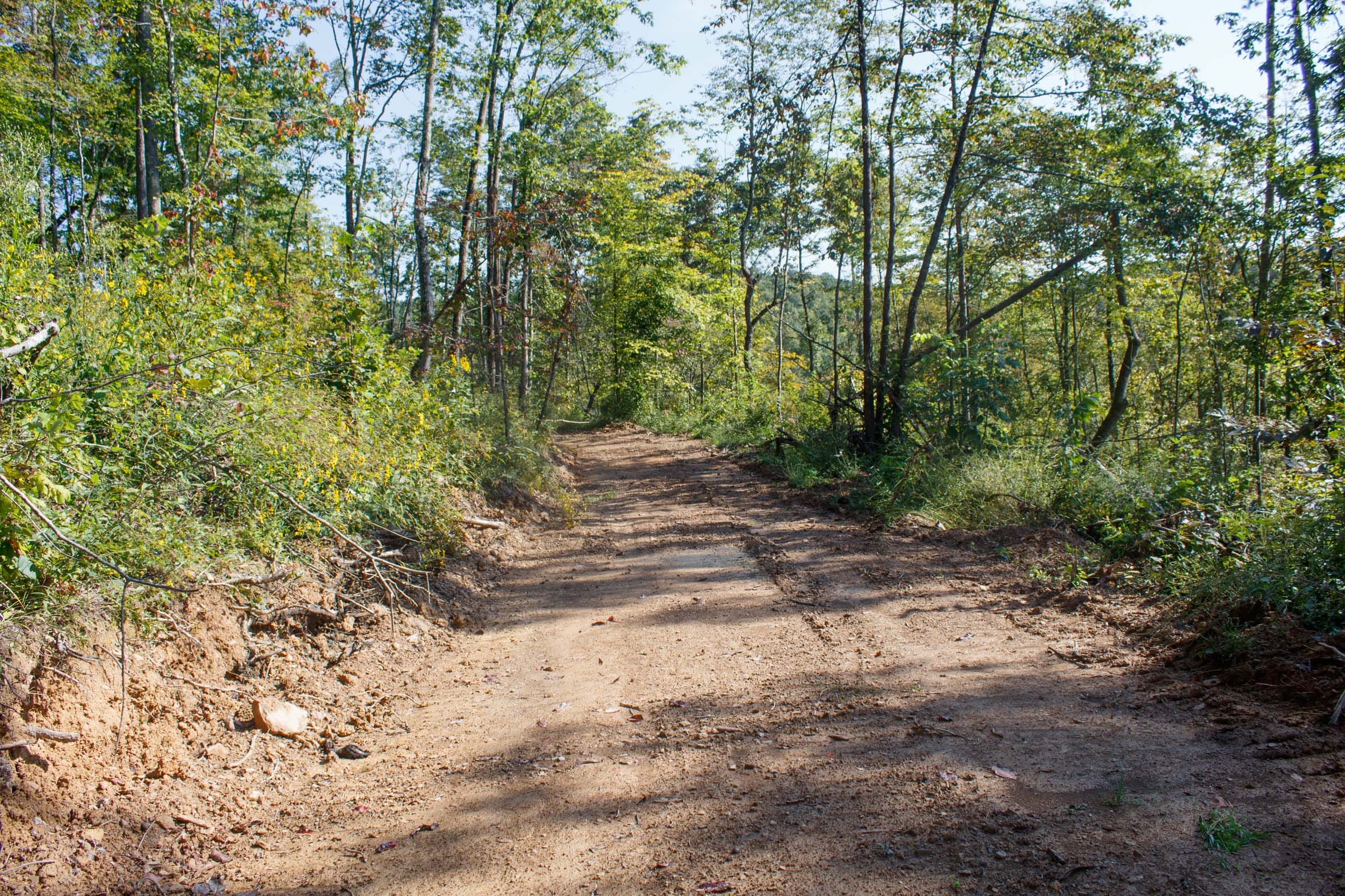 Wounded Oak Tract 23 photo 2