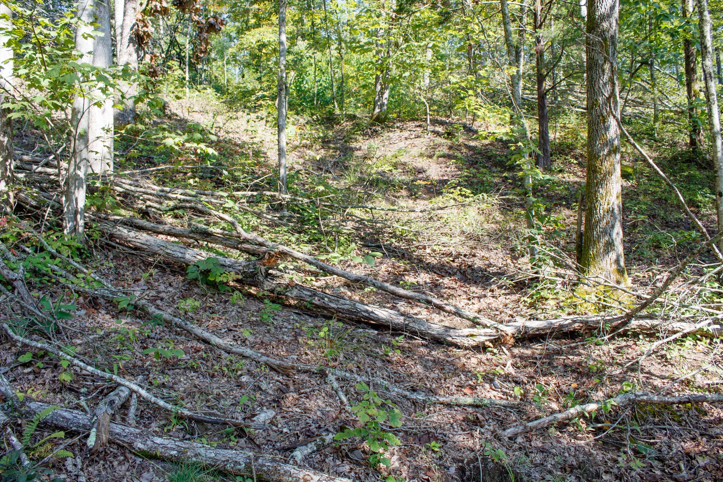 Wounded Oak Tract 23 photo 12