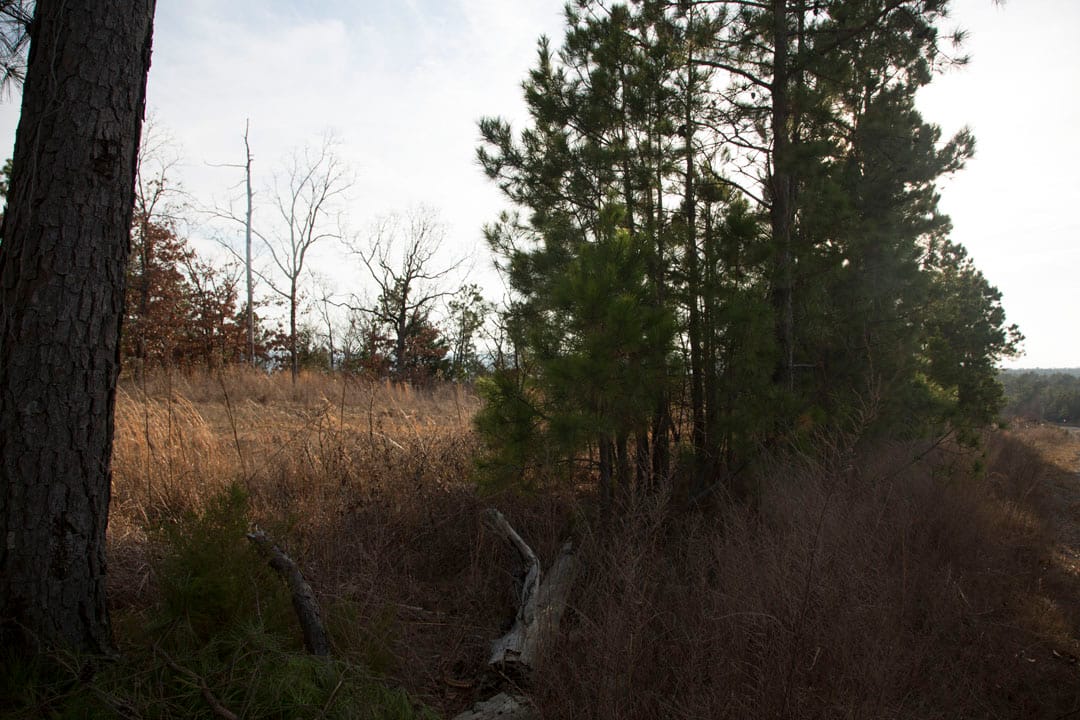 Stone Creek Phase III Tract 88 photo 2