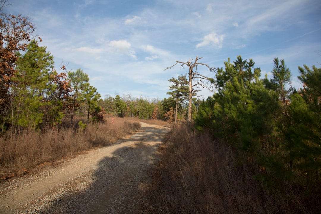 Stone Creek Phase III Tract 88 photo 4