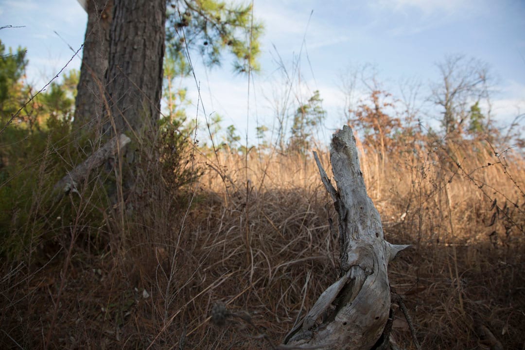Stone Creek Phase III Tract 88 photo 5