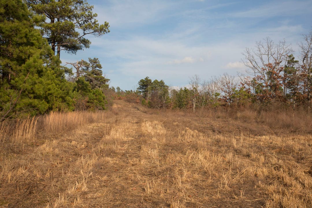 Stone Creek Phase III Tract 88 photo 8