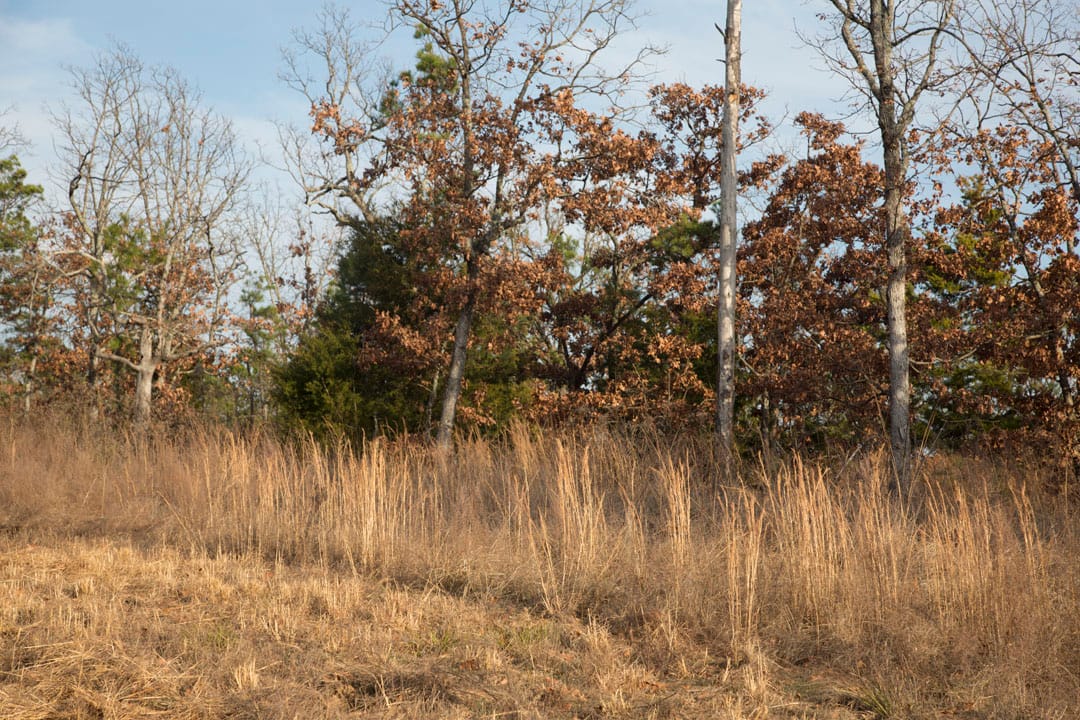 Stone Creek Phase III Tract 88 photo 9