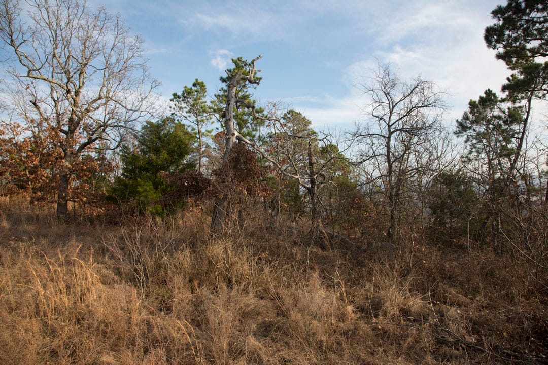 Stone Creek Phase III Tract 88 photo 10