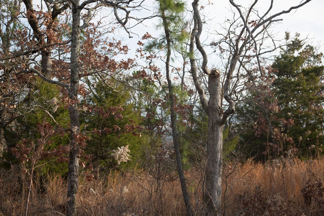 Stone Creek Phase III Tract 88 photo 13