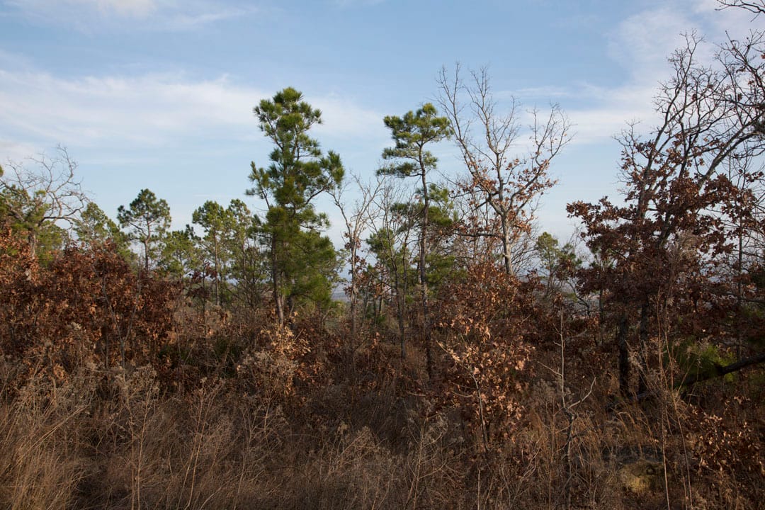 Stone Creek Phase III Tract 88 photo 14