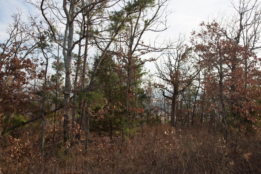 Stone Creek Phase III Tract 88 photo 15